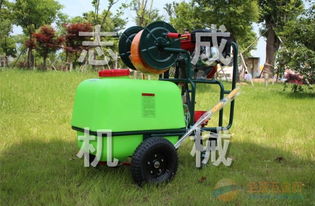志成牌果樹(shù)噴藥機(jī)廠家直銷——助力高效農(nóng)業(yè)，守護(hù)豐收希望