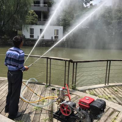 農(nóng)田噴藥設(shè)備選購(gòu)指南 柴油、汽油與手推式噴藥機(jī)價(jià)格與特性解析